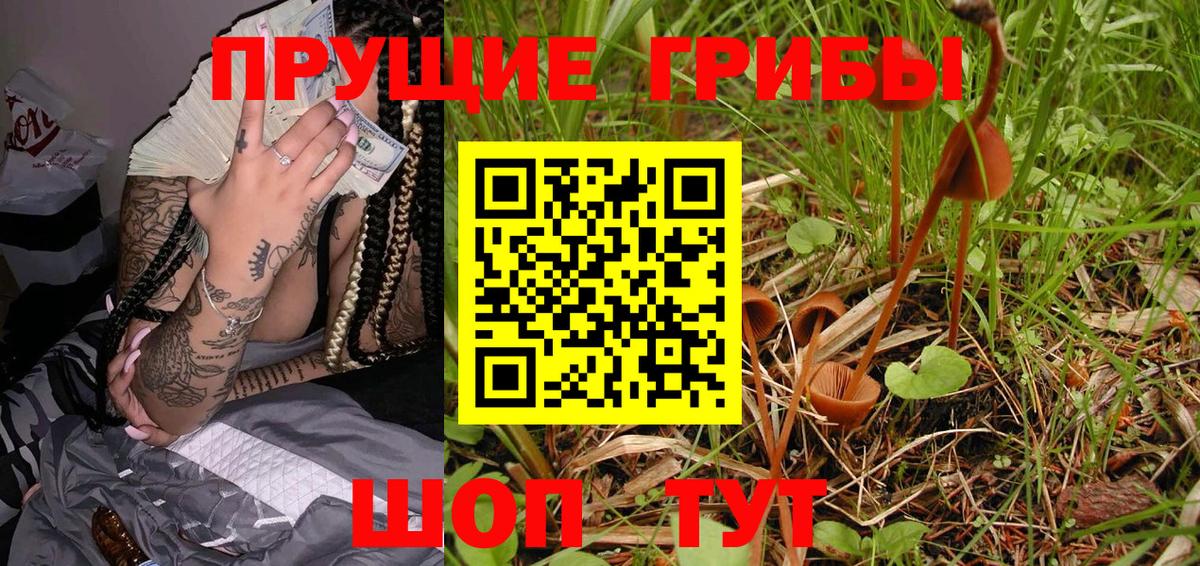 наркота  Вход с VPN  Елец  Псилоцибиновые грибы Psilocybine cubensis 
